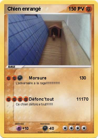 Pokemon Chien enrangé