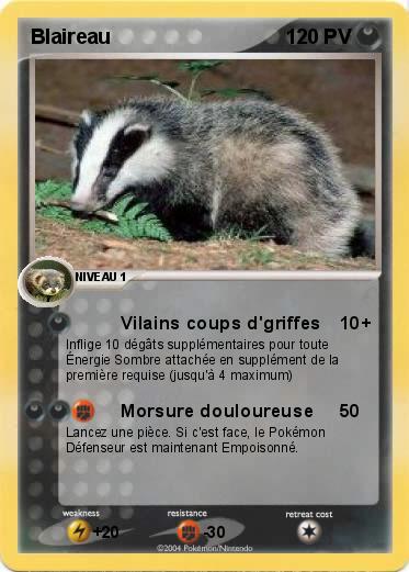 Pokemon Blaireau