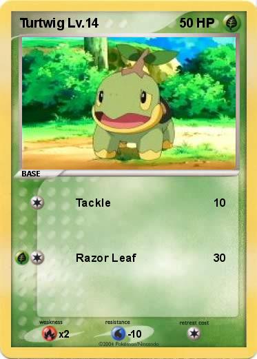Pokemon Turtwig Lv.14