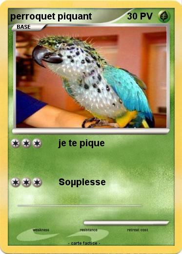 Pokemon perroquet piquant