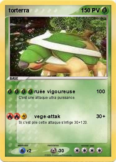 Pokemon torterra
