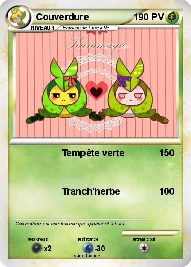 Pokemon Couverdure