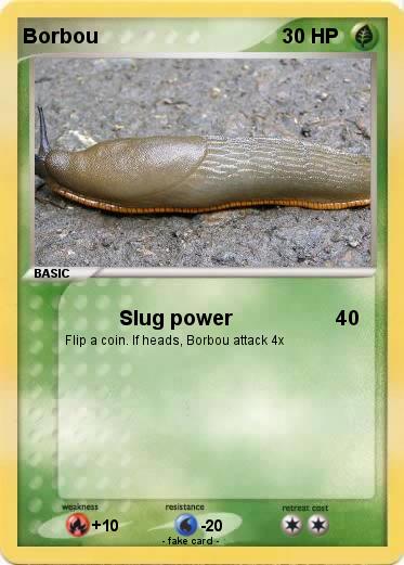 Pokemon Borbou
