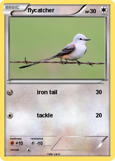 Pokemon flycatcher