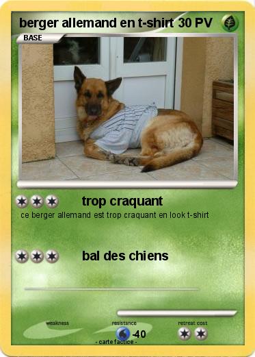Pokemon berger allemand en t-shirt