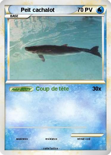Pokemon Peit cachalot
