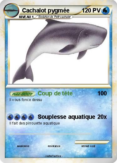 Pokemon Cachalot pygmée