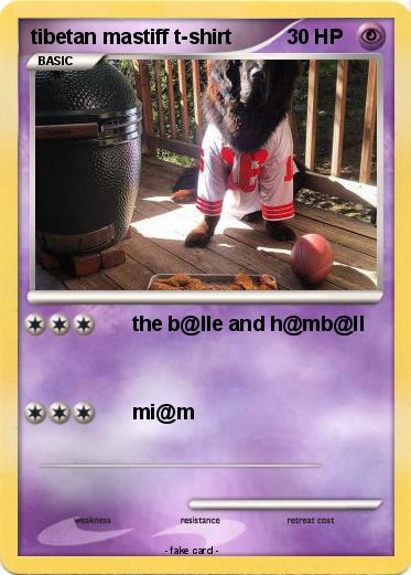 Pokemon tibetan mastiff t-shirt