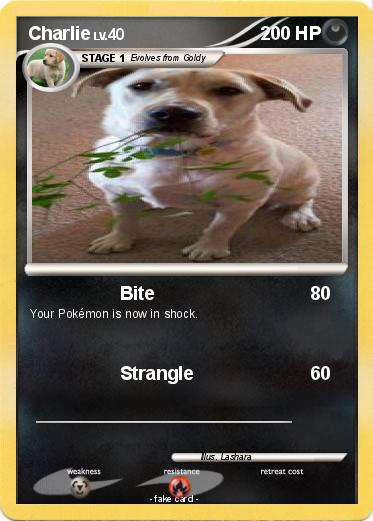 Pokemon Charlie