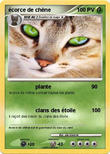 Pokemon écorce de chêne