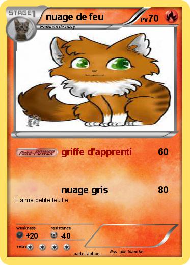 Pokemon nuage de feu