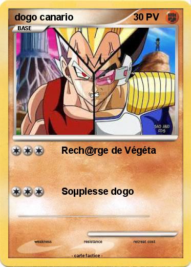 Pokemon dogo canario