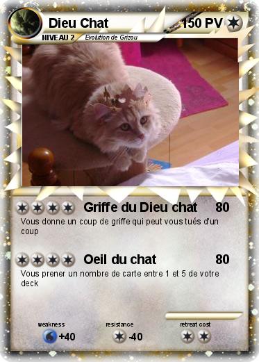 Pokemon Dieu Chat