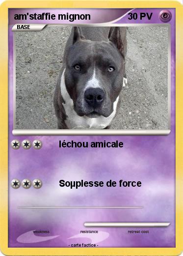 Pokemon am'staffie mignon