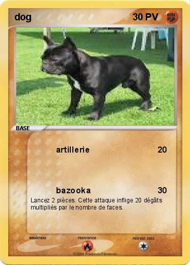 Pokemon dog 