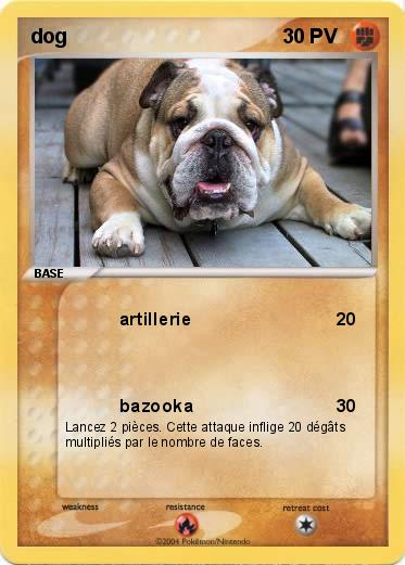 Pokemon dog