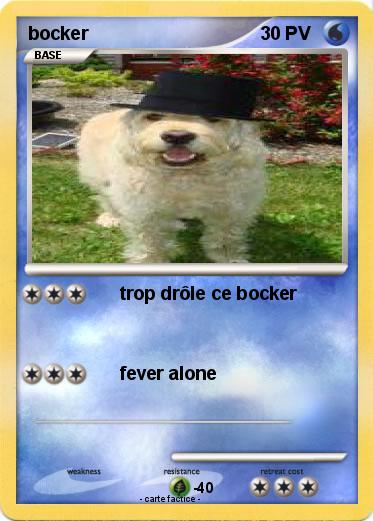 Pokemon bocker