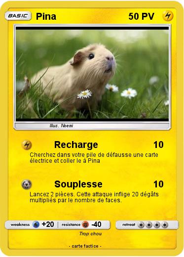 Pokemon Pina