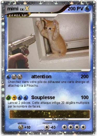 Pokemon mimi