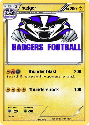 Pokemon badger