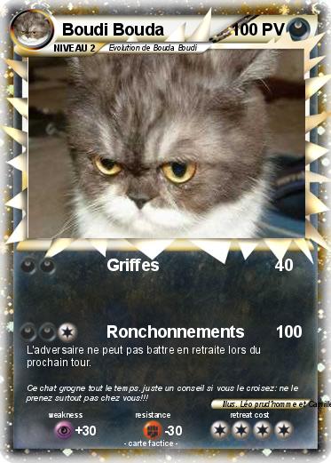 Pokemon Boudi Bouda