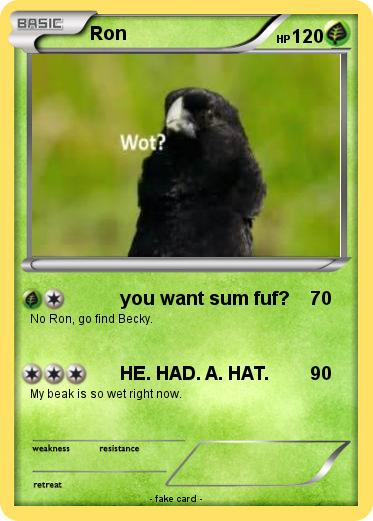 Pokemon Ron