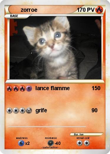 Pokemon zorroe