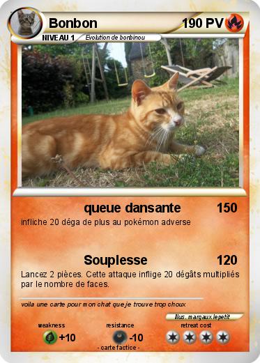 Pokemon Bonbon