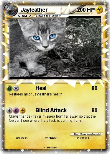 Pokemon Jayfeather