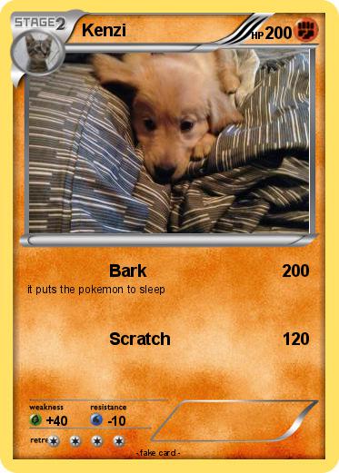 Pokemon Kenzi