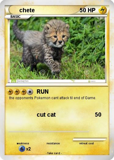 Pokemon chete