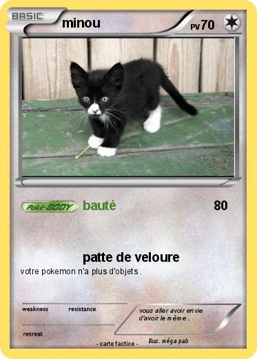 Pokemon minou