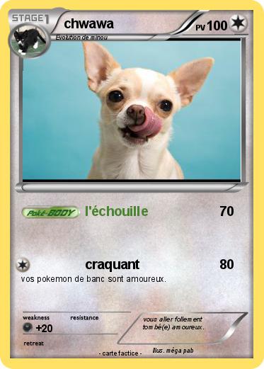 Pokemon chwawa