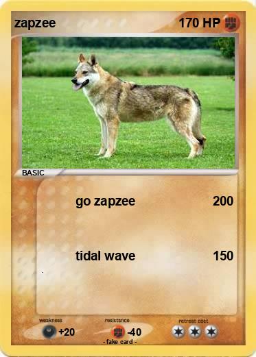Pokemon zapzee