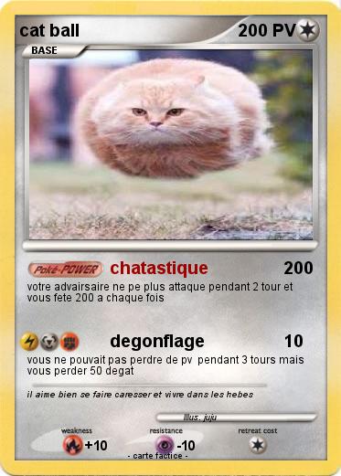 Pokemon cat ball