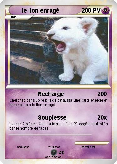 Pokemon le lion enragé