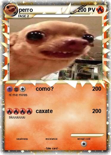 Pokemon perro