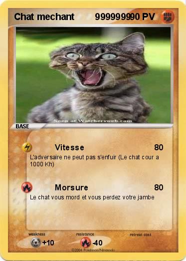 Pokemon Chat mechant        9999999