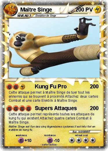 Pokemon Maître Singe