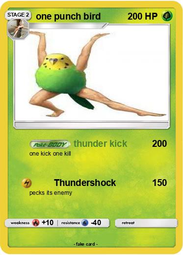 Pokemon one punch bird
