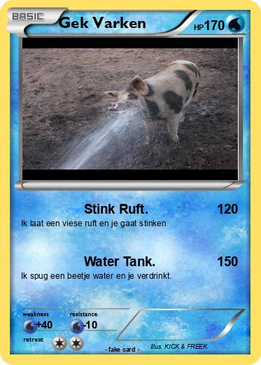 Pokemon Gek Varken