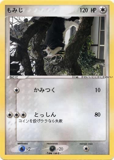 Pokemon もみじ