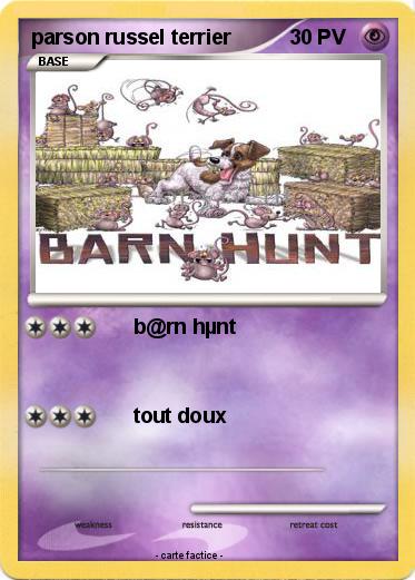 Pokemon parson russel terrier