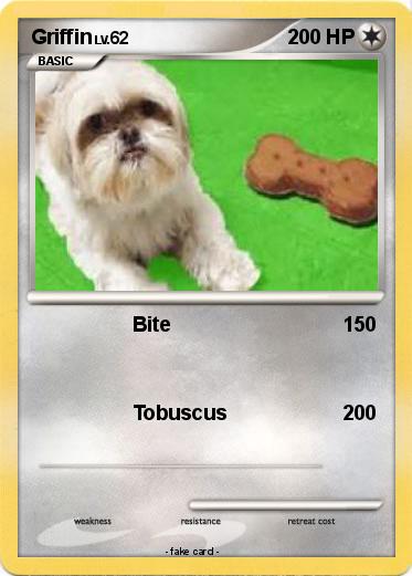 Pokemon Griffin