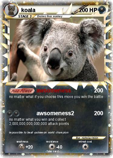 Pokemon koala