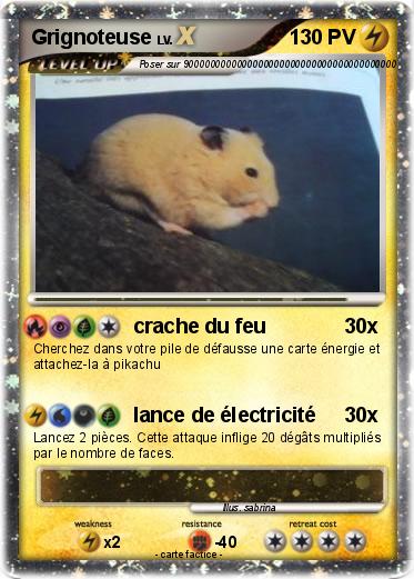 Pokemon Grignoteuse