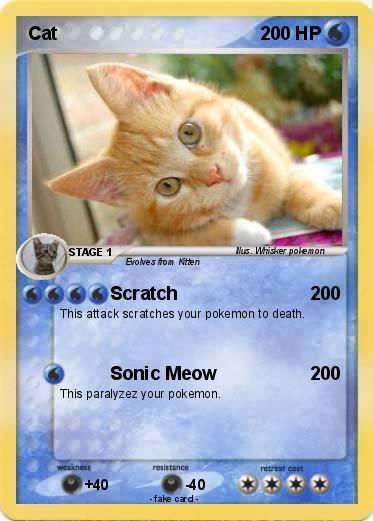 Pokemon Cat