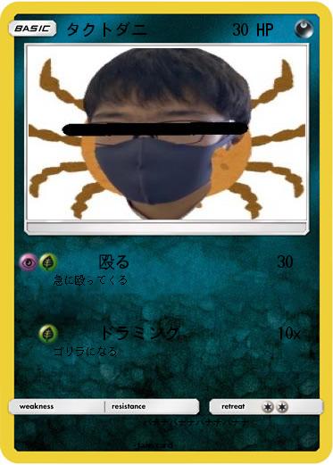 Pokemon タクトダニ