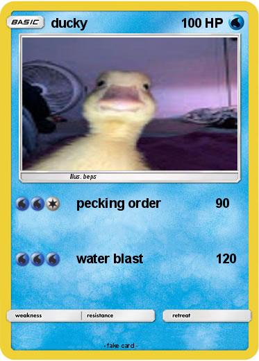 Pokemon ducky