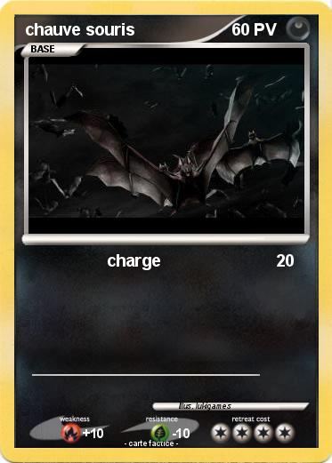 Pokemon chauve souris